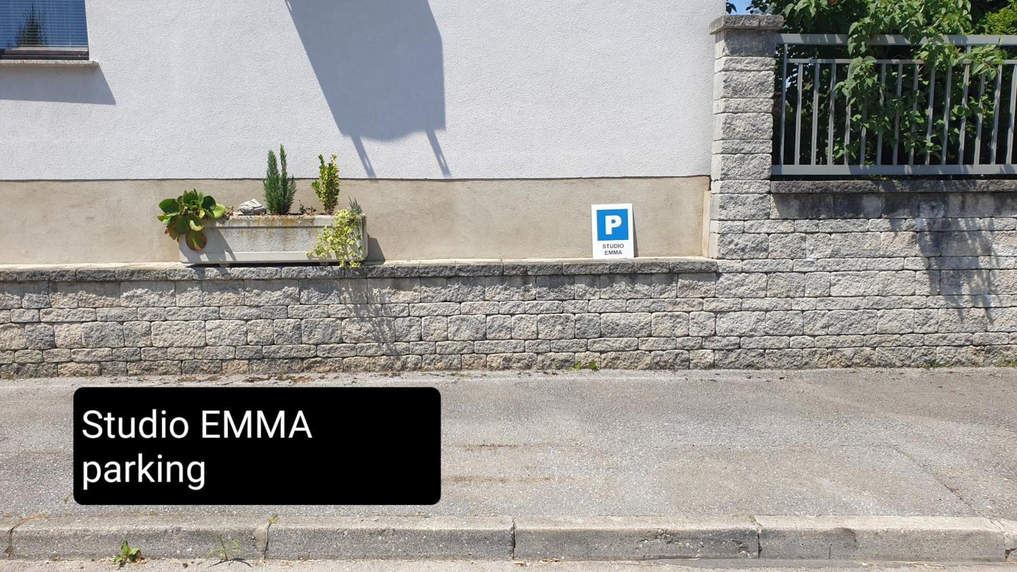 Studio Emma Ljubljana - Free Parking, Ac, Wifi Ngoại thất bức ảnh